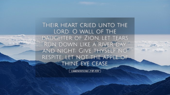 Picture 05 - Lamentations 2:18 ASV Desktop Wallpaper - Their heart cried unto the Lord: O wall of the - Desktop Bible Verse Wallpaper