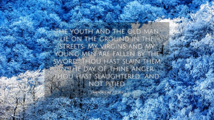 Picture 05 - Lamentations 2:21 ASV Desktop Wallpaper - The youth and the old man lie on the ground in - Desktop Bible Verse Wallpaper