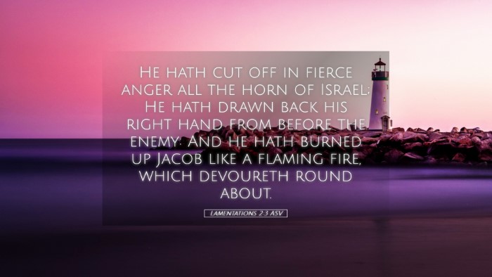 Picture 05 - Lamentations 2:3 ASV Desktop Wallpaper - He hath cut off in fierce anger all the horn of - Desktop Bible Verse Wallpaper