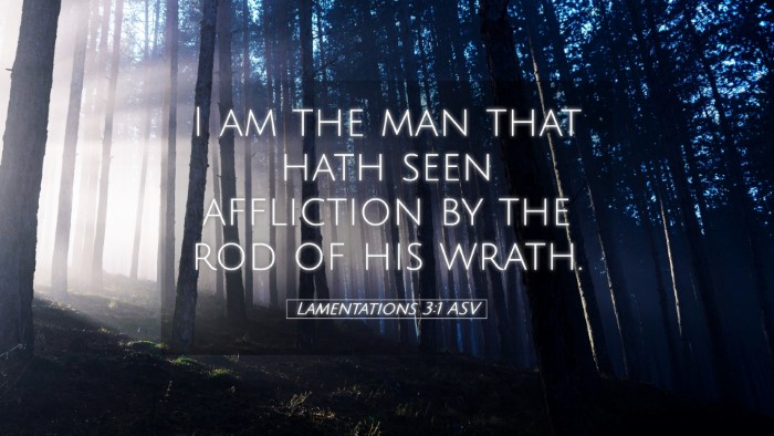 Picture 05 - Lamentations 3:1 ASV Desktop Wallpaper - I am the man that hath seen affliction by the rod - Desktop Bible Verse Wallpaper