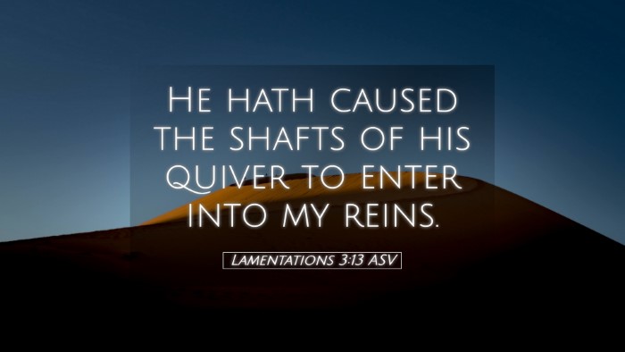Picture 05 - Lamentations 3:13 ASV Desktop Wallpaper - He hath caused the shafts of his quiver to enter - Desktop Bible Verse Wallpaper