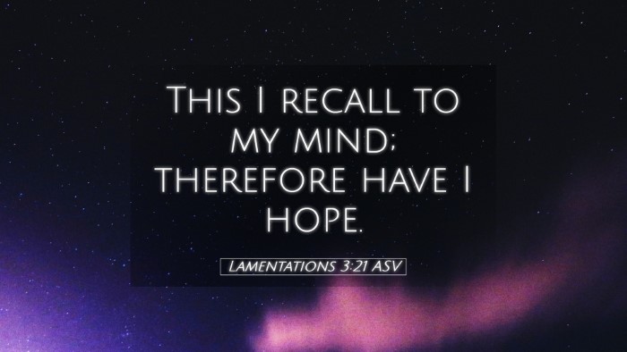 Picture 05 - Lamentations 3:21 ASV Desktop Wallpaper - This I recall to my mind; therefore have I - Desktop Bible Verse Wallpaper