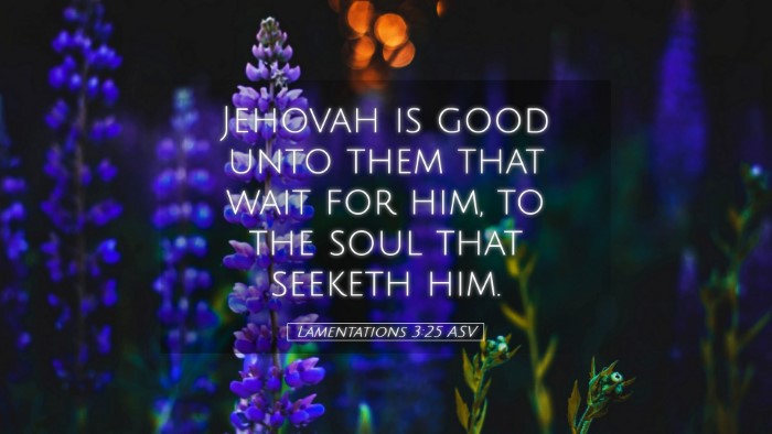 Picture 05 - Lamentations 3:25 ASV Desktop Wallpaper - Jehovah is good unto them that wait for him, to - Desktop Bible Verse Wallpaper