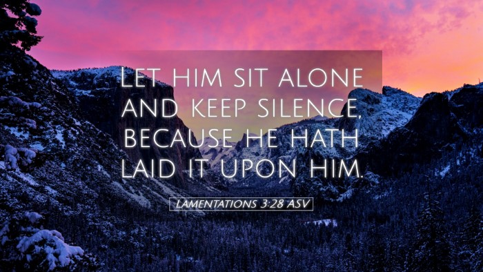 Picture 05 - Lamentations 3:28 ASV Desktop Wallpaper - Let him sit alone and keep silence, because he - Desktop Bible Verse Wallpaper