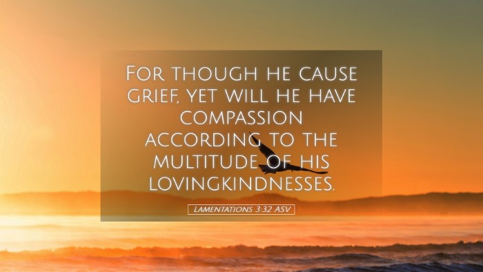 Picture 05 - Lamentations 3:32 ASV Desktop Wallpaper - For though he cause grief, yet will he have - Desktop Bible Verse Wallpaper