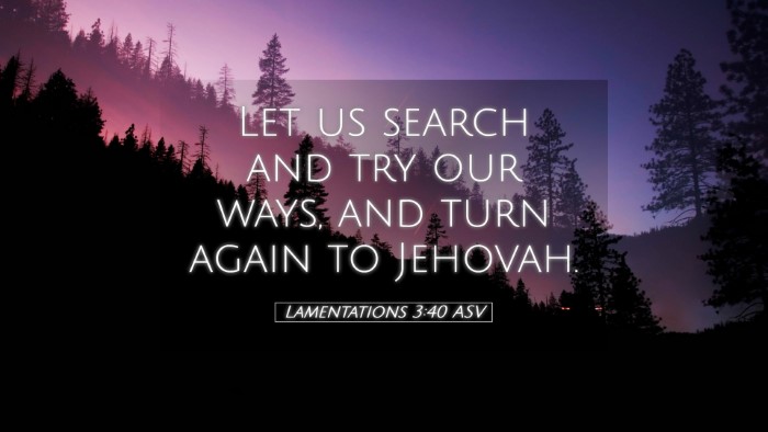 Picture 05 - Lamentations 3:40 ASV Desktop Wallpaper - Let us search and try our ways, and turn again to - Desktop Bible Verse Wallpaper