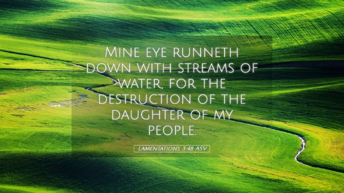 Picture 05 - Lamentations 3:48 ASV Desktop Wallpaper - Mine eye runneth down with streams of water, for - Desktop Bible Verse Wallpaper