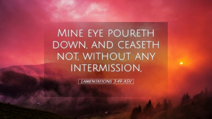 Picture 05 - Lamentations 3:49 ASV Desktop Wallpaper - Mine eye poureth down, and ceaseth not, without - Desktop Bible Verse Wallpaper