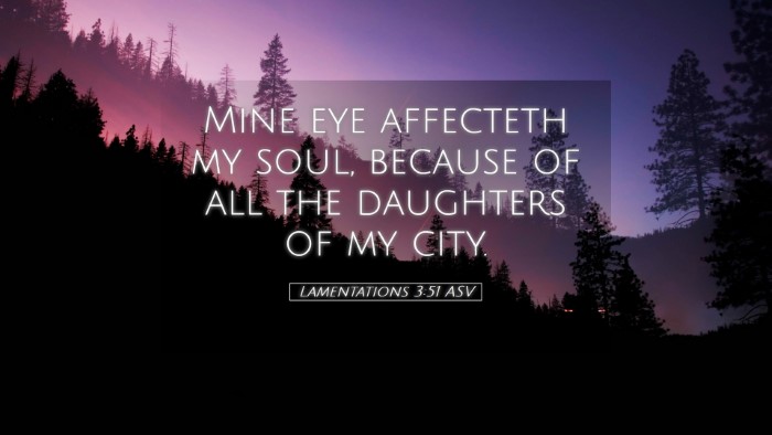 Picture 05 - Lamentations 3:51 ASV Desktop Wallpaper - Mine eye affecteth my soul, because of all the - Desktop Bible Verse Wallpaper
