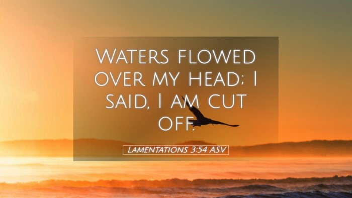 Picture 05 - Lamentations 3:54 ASV Desktop Wallpaper - Waters flowed over my head; I said, I am cut - Desktop Bible Verse Wallpaper
