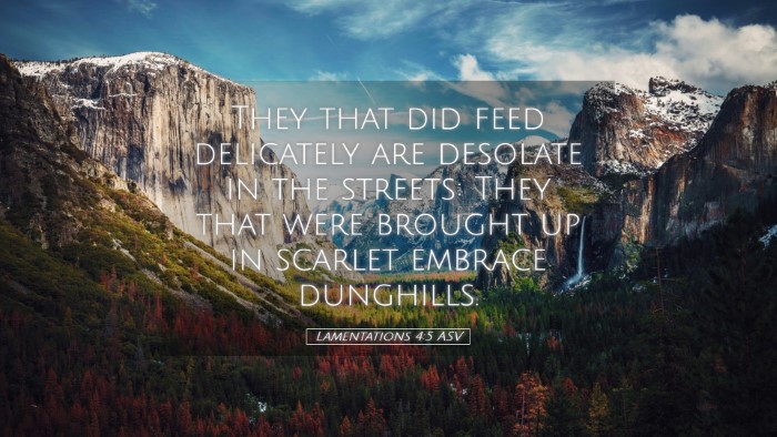 Picture 05 - Lamentations 4:5 ASV Desktop Wallpaper - They that did feed delicately are desolate in the - Desktop Bible Verse Wallpaper