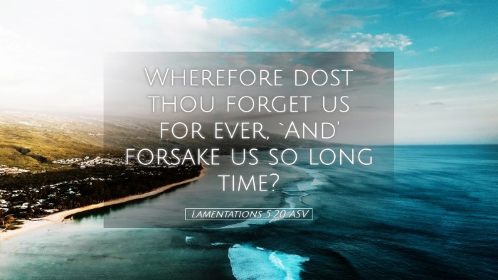 Picture 05 - Lamentations 5:20 ASV Desktop Wallpaper - Wherefore dost thou forget us for ever, `And' - Desktop Bible Verse Wallpaper