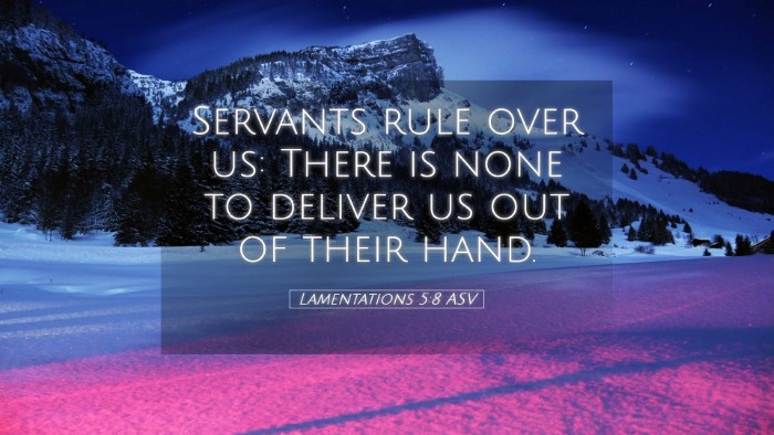 Picture 05 - Lamentations 5:8 ASV Desktop Wallpaper - Servants rule over us: There is none to deliver - Desktop Bible Verse Wallpaper