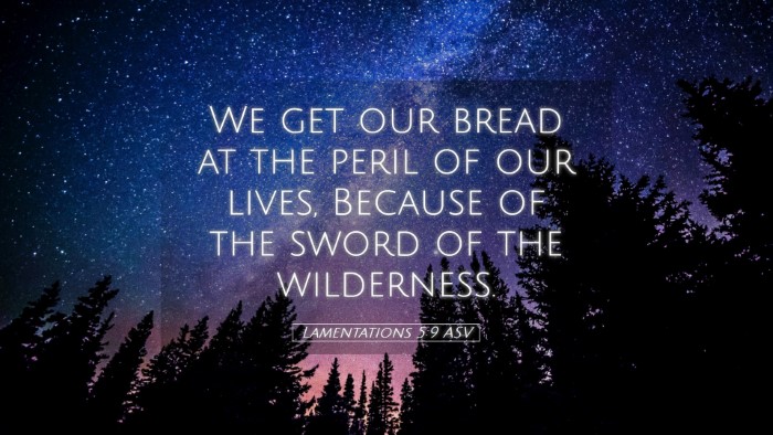 Picture 05 - Lamentations 5:9 ASV Desktop Wallpaper - We get our bread at the peril of our lives, - Desktop Bible Verse Wallpaper