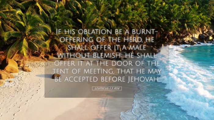 Picture 05 - Leviticus 1:3 ASV Desktop Wallpaper - If his oblation be a burnt-offering of the herd, - Desktop Bible Verse Wallpaper