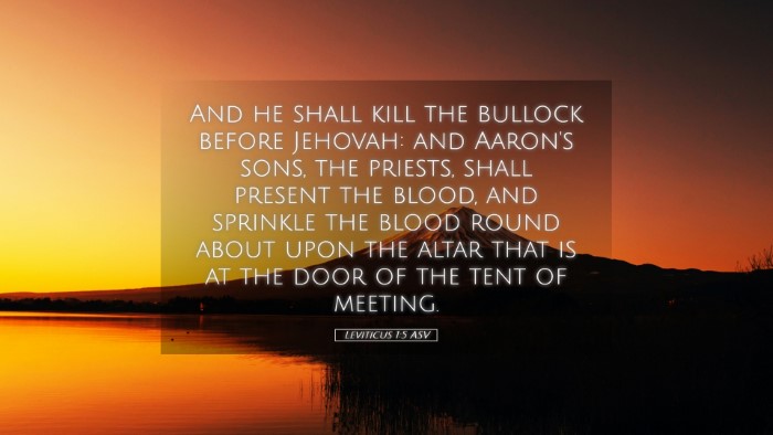 Picture 05 - Leviticus 1:5 ASV Desktop Wallpaper - And he shall kill the bullock before Jehovah: and - Desktop Bible Verse Wallpaper