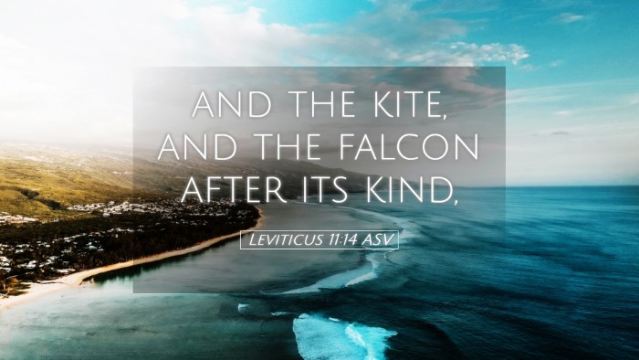 Picture 05 - Leviticus 11:14 ASV Desktop Wallpaper - and the kite, and the falcon after its - Desktop Bible Verse Wallpaper