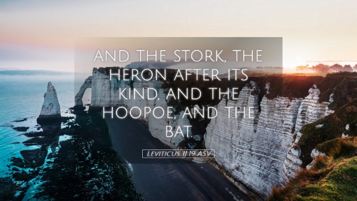 Picture 05 - Leviticus 11:19 ASV Desktop Wallpaper - and the stork, the heron after its kind, and the - Desktop Bible Verse Wallpaper