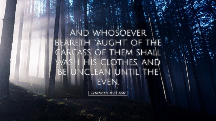 Picture 05 - Leviticus 11:25 ASV Desktop Wallpaper - And whosoever beareth `aught' of the carcass of - Desktop Bible Verse Wallpaper