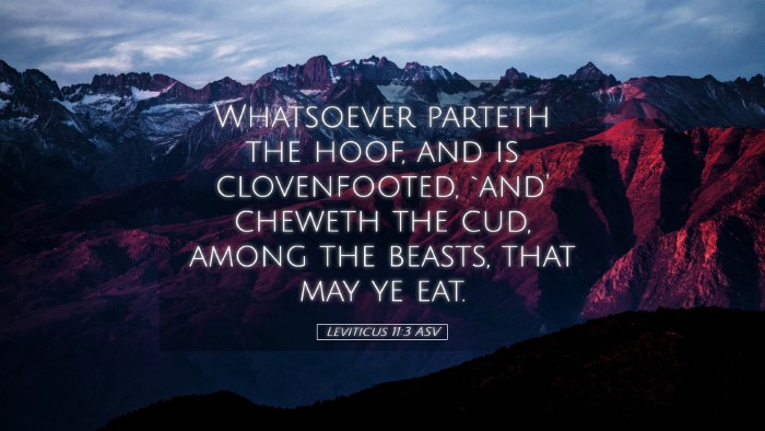 Picture 05 - Leviticus 11:3 ASV Desktop Wallpaper - Whatsoever parteth the hoof, and is clovenfooted, - Desktop Bible Verse Wallpaper