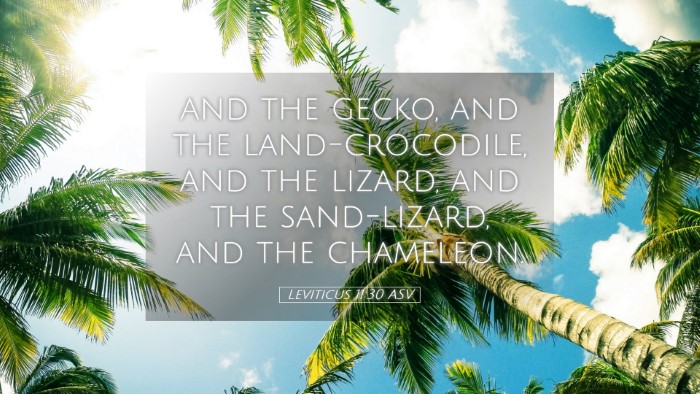 Picture 05 - Leviticus 11:30 ASV Desktop Wallpaper - and the gecko, and the land-crocodile, and the - Desktop Bible Verse Wallpaper