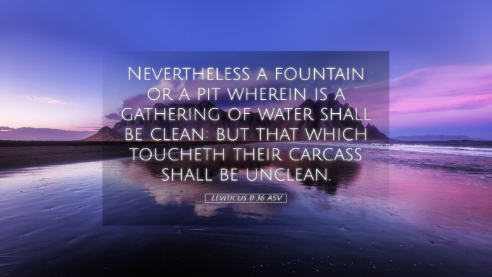 Picture 05 - Leviticus 11:36 ASV Desktop Wallpaper - Nevertheless a fountain or a pit wherein is a - Desktop Bible Verse Wallpaper