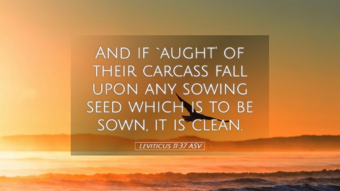 Picture 05 - Leviticus 11:37 ASV Desktop Wallpaper - And if `aught' of their carcass fall upon any - Desktop Bible Verse Wallpaper