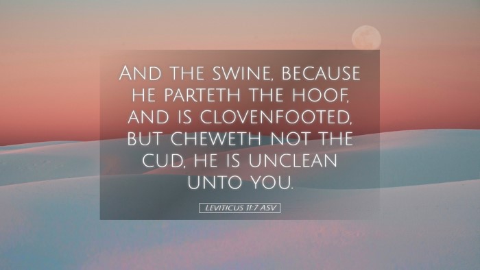 Picture 05 - Leviticus 11:7 ASV Desktop Wallpaper - And the swine, because he parteth the hoof, and - Desktop Bible Verse Wallpaper