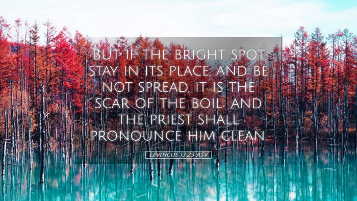 Picture 05 - Leviticus 13:23 ASV Desktop Wallpaper - But if the bright spot stay in its place, and be - Desktop Bible Verse Wallpaper