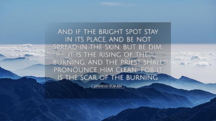 Picture 05 - Leviticus 13:28 ASV Desktop Wallpaper - And if the bright spot stay in its place, and be - Desktop Bible Verse Wallpaper