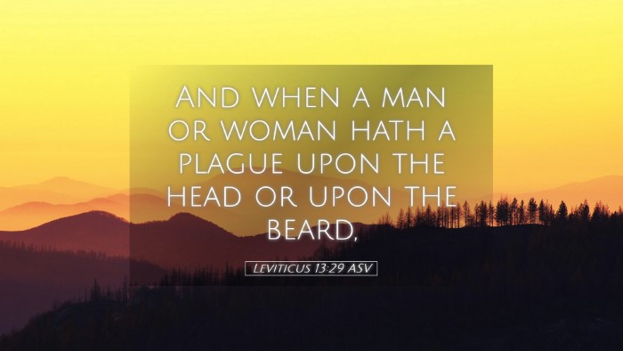 Picture 05 - Leviticus 13:29 ASV Desktop Wallpaper - And when a man or woman hath a plague upon the - Desktop Bible Verse Wallpaper