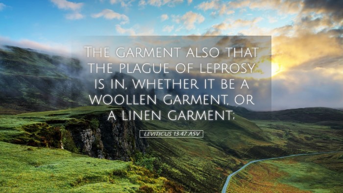 Picture 05 - Leviticus 13:47 ASV Desktop Wallpaper - The garment also that the plague of leprosy is - Desktop Bible Verse Wallpaper