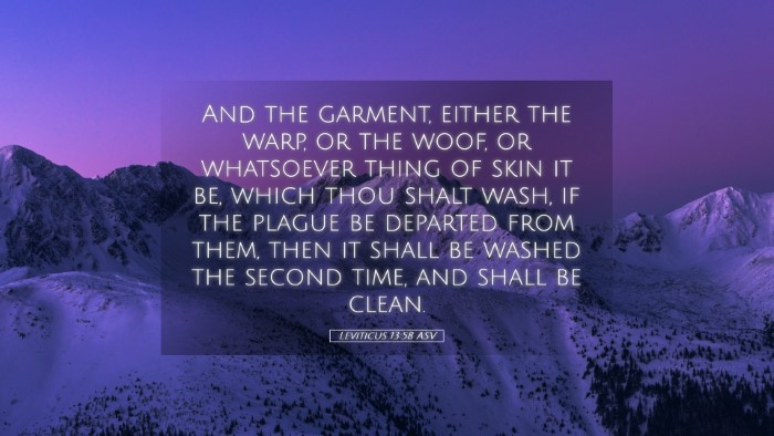 Picture 05 - Leviticus 13:58 ASV Desktop Wallpaper - And the garment, either the warp, or the woof, or - Desktop Bible Verse Wallpaper