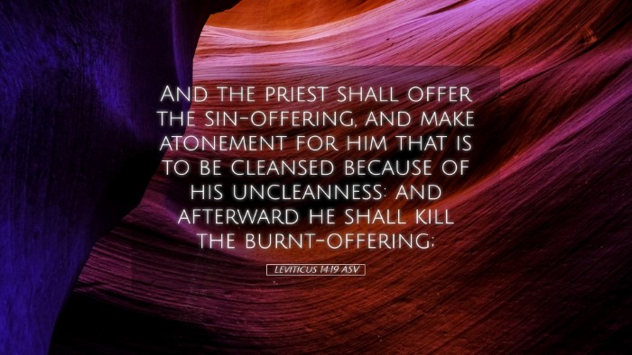Picture 05 - Leviticus 14:19 ASV Desktop Wallpaper - And the priest shall offer the sin-offering, and - Desktop Bible Verse Wallpaper