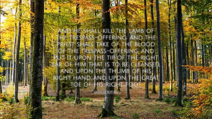 Picture 05 - Leviticus 14:25 ASV Desktop Wallpaper - And he shall kill the lamb of the - Desktop Bible Verse Wallpaper