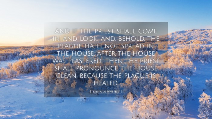 Picture 05 - Leviticus 14:48 ASV Desktop Wallpaper - And if the priest shall come in, and look, and, - Desktop Bible Verse Wallpaper