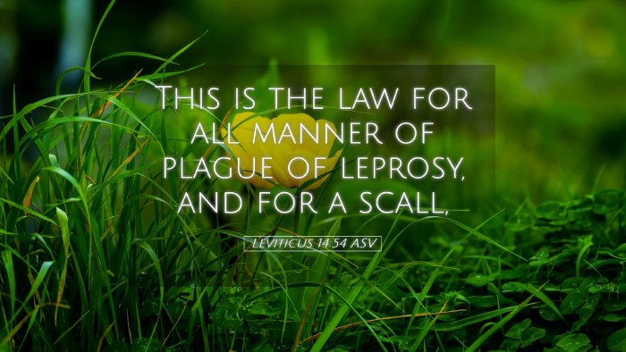 Picture 05 - Leviticus 14:54 ASV Desktop Wallpaper - This is the law for all manner of plague of - Desktop Bible Verse Wallpaper