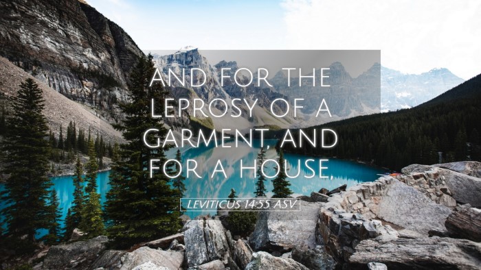 Picture 05 - Leviticus 14:55 ASV Desktop Wallpaper - and for the leprosy of a garment, and for a - Desktop Bible Verse Wallpaper
