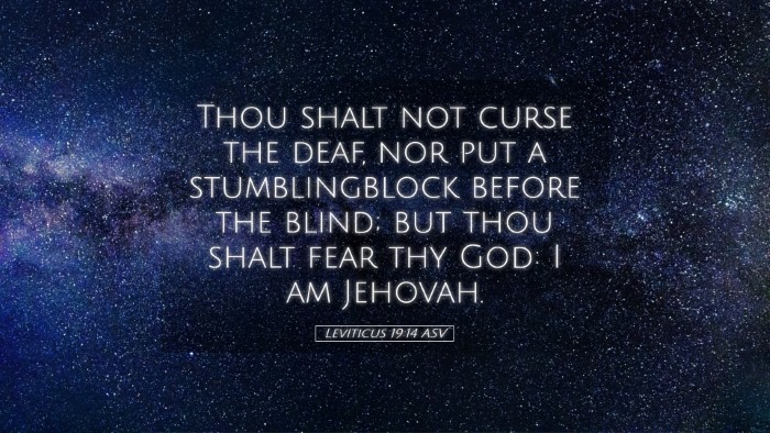 Picture 05 - Leviticus 19:14 ASV Desktop Wallpaper - Thou shalt not curse the deaf, nor put a - Desktop Bible Verse Wallpaper