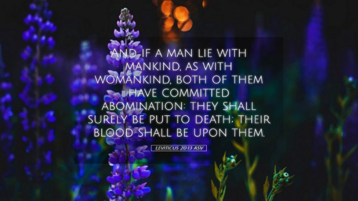 Picture 05 - Leviticus 20:13 ASV Desktop Wallpaper - And if a man lie with mankind, as with womankind, - Desktop Bible Verse Wallpaper
