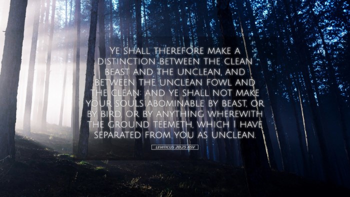 Picture 05 - Leviticus 20:25 ASV Desktop Wallpaper - Ye shall therefore make a distinction between the - Desktop Bible Verse Wallpaper