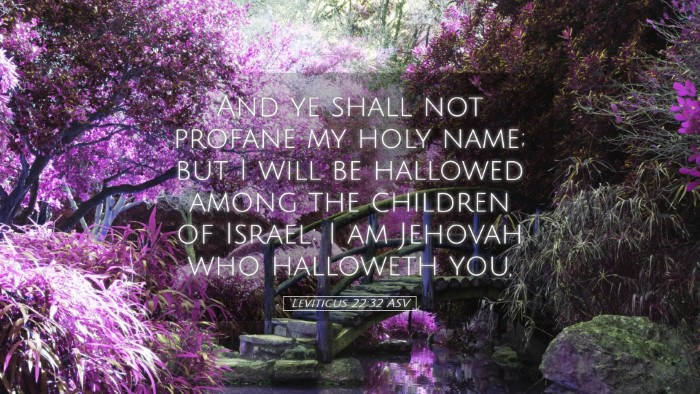 Picture 05 - Leviticus 22:32 ASV Desktop Wallpaper - And ye shall not profane my holy name; but I will - Desktop Bible Verse Wallpaper