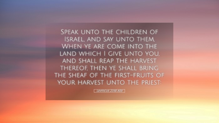 Picture 05 - Leviticus 23:10 ASV Desktop Wallpaper - Speak unto the children of Israel, and say unto - Desktop Bible Verse Wallpaper