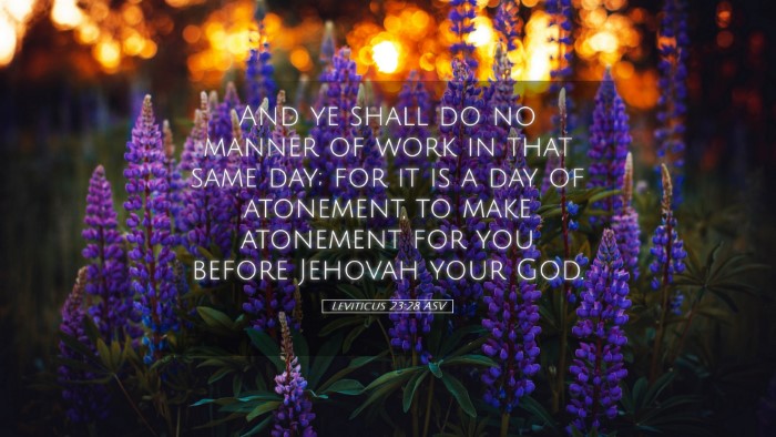 Picture 05 - Leviticus 23:28 ASV Desktop Wallpaper - And ye shall do no manner of work in that same - Desktop Bible Verse Wallpaper