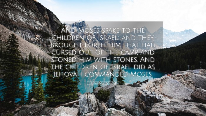 Picture 05 - Leviticus 24:23 ASV Desktop Wallpaper - And Moses spake to the children of Israel; and - Desktop Bible Verse Wallpaper