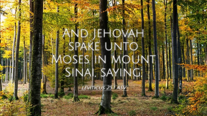 Picture 05 - Leviticus 25:1 ASV Desktop Wallpaper - And Jehovah spake unto Moses in mount Sinai, - Desktop Bible Verse Wallpaper