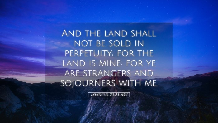 Picture 05 - Leviticus 25:23 ASV Desktop Wallpaper - And the land shall not be sold in perpetuity; for - Desktop Bible Verse Wallpaper