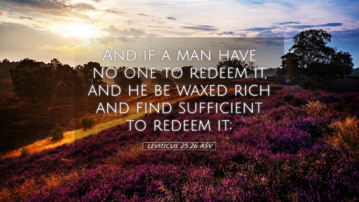 Picture 05 - Leviticus 25:26 ASV Desktop Wallpaper - And if a man have no one to redeem it, and he be - Desktop Bible Verse Wallpaper