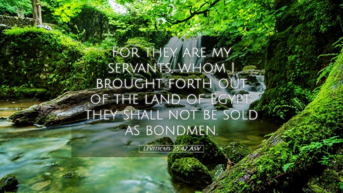 Picture 05 - Leviticus 25:42 ASV Desktop Wallpaper - For they are my servants, whom I brought forth - Desktop Bible Verse Wallpaper