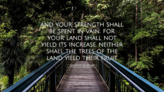 Picture 05 - Leviticus 26:20 ASV Desktop Wallpaper - and your strength shall be spent in vain; for - Desktop Bible Verse Wallpaper